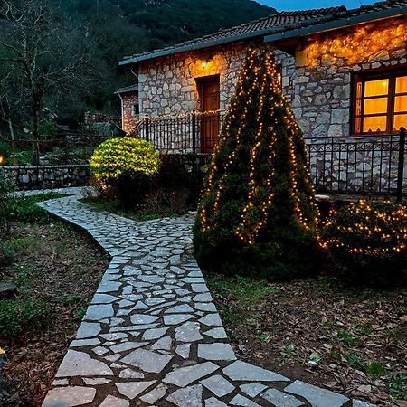 蒂米萨那安德里亚索菲旅馆公寓 外观 照片